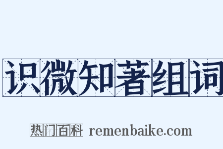 识微知著组词是什么意思的图片